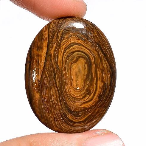 Biggs Jasper