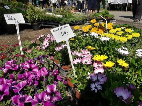 Oblíbené Selské a Zahradnické trhy se od dubna vrací na Floru