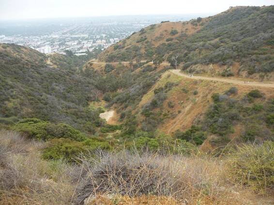 Runyon Canyon