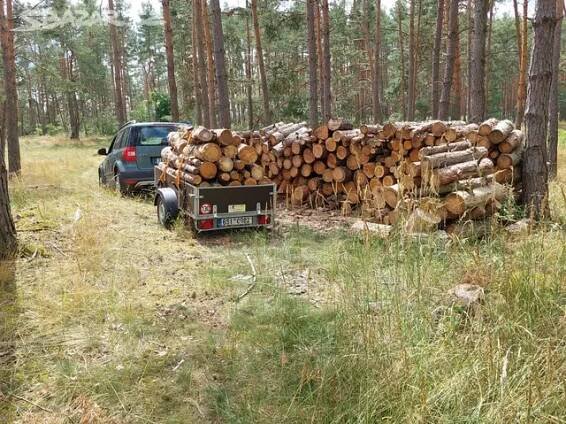 Palivové dřevo Borovice