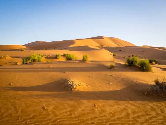 Le Sahara Était Vert Il Y A Plusieurs Milliers D’Années!
