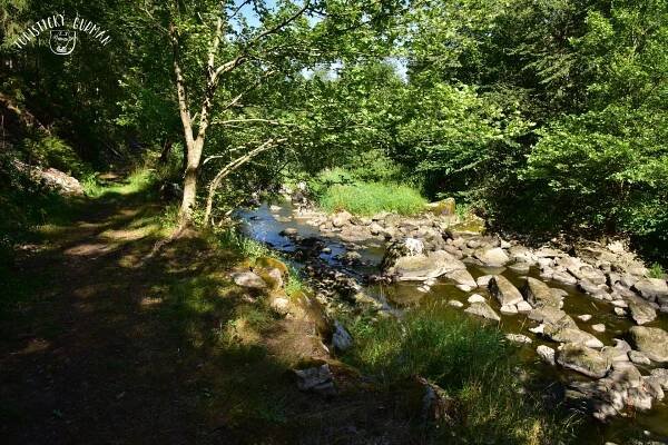 Z Ostrovce podél Skalice a Lomnice – Turisticky gurman