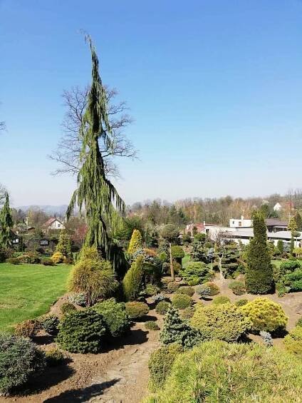 Miniarboretum U Holubů ve Staříči.