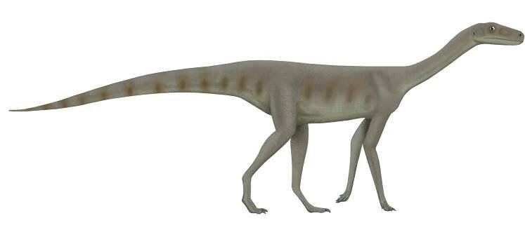 Který dinosaurus byl první? Na stopu přivedl vědce slezský ještěr