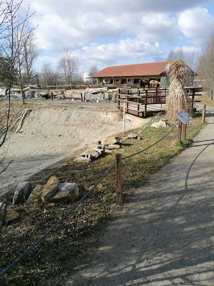 Ve vyškovském ZooParku budují novou expozici. V zázemí čekají budoucí obyvatelé