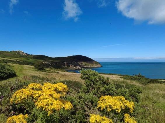 Isle of Anglesey Coastal Path Walking Holidays | 2025 & 2026