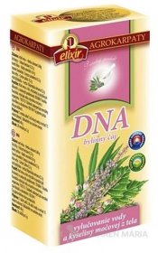 DNA – čaj na dnu