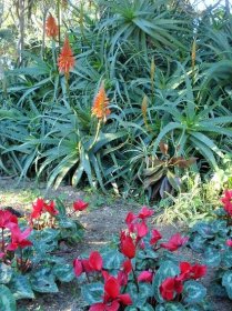 Botanical gardens | Globetrotting Gardener