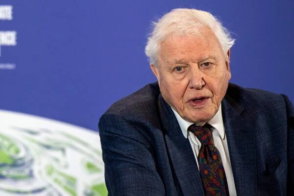 David Attenborough has received the COVID-19 vaccine.