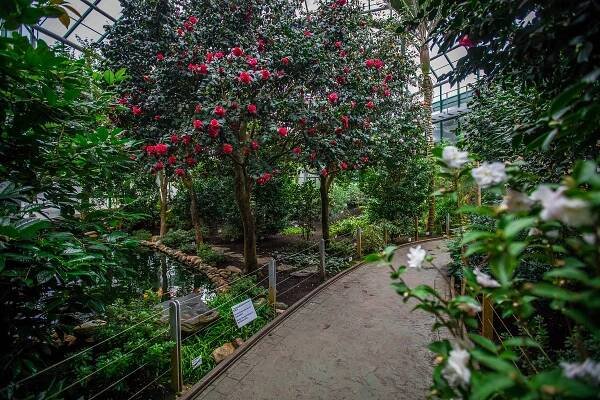 Botanická zahrada Liberec