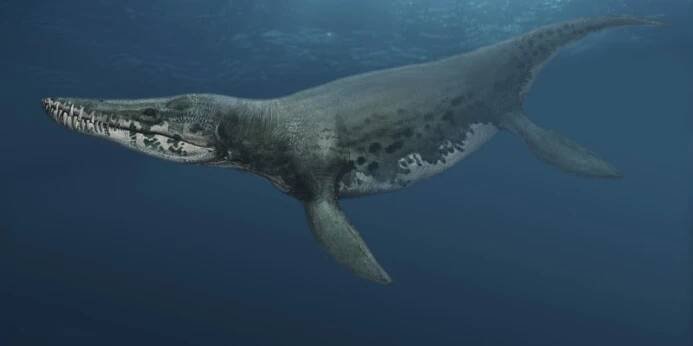 Pliosaurus