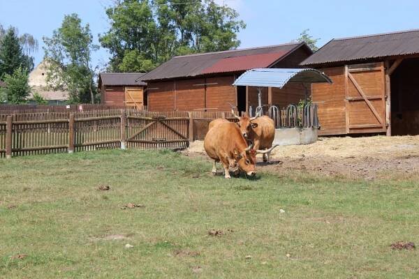 Den jedenáctý z deníku cestovatele: Dnešní cesta ze slunného Španělska do Skotska - TÁBOROVÁ RODINA - Dětský tábor