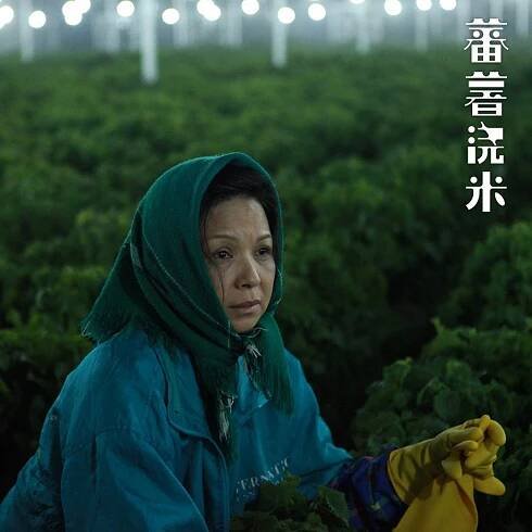 Kuei-Mei Yang - Koali & Rice - Fotosky