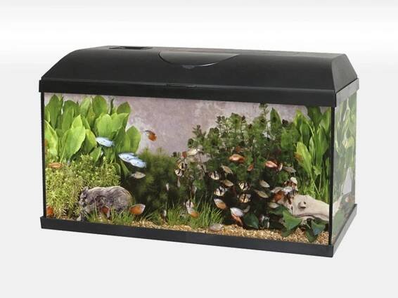 Akvárium PACIFIC 120l s LED osvětlením