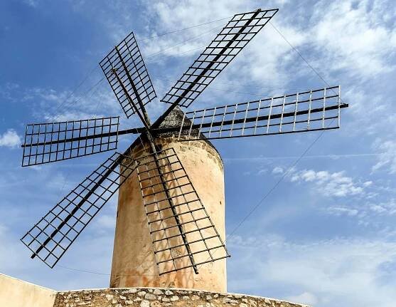 Top 10 Things to Do in C'an Picafort in Northern Mallorca