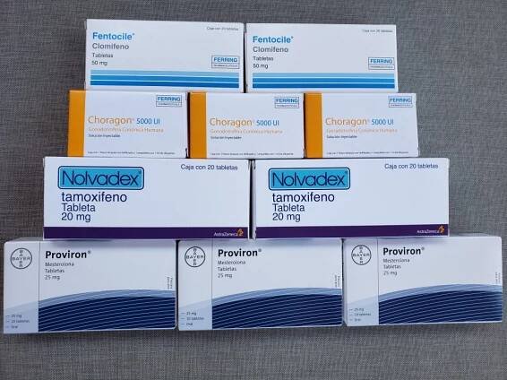 Clomid Hcg Cena