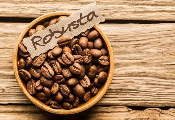 Arabica vs Robusta 🌱 Jaká káva je nejlepší? | Officeo blog