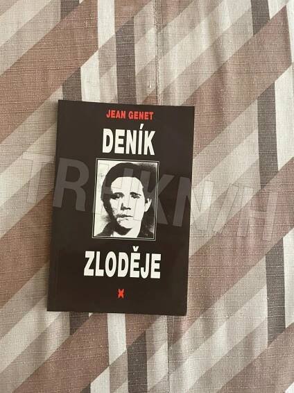 Kniha Deník zloděje - Trh knih - online antikvariát