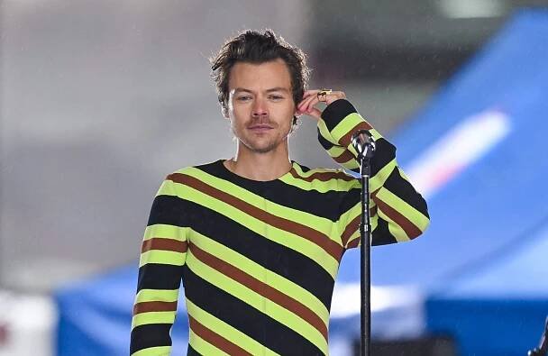 Harry Styles weighs in on a possible One Direction reunion | Marie Claire UK