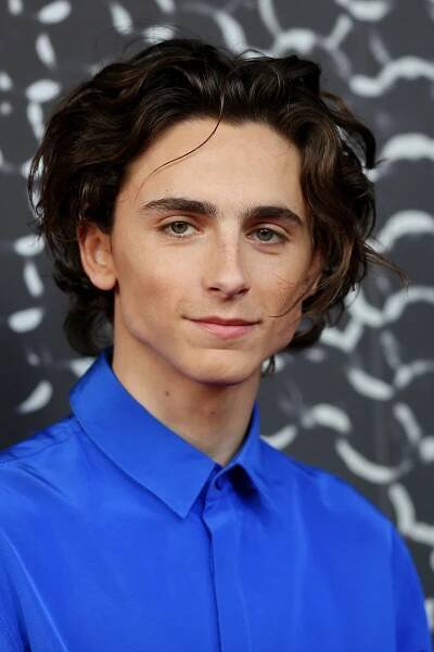 Filmy s tímto hercem Timothée Chalamet - SWEET.TV