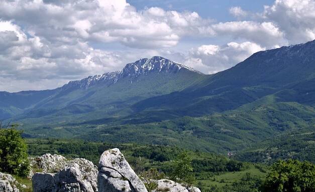 Suva planina – Wikipedie