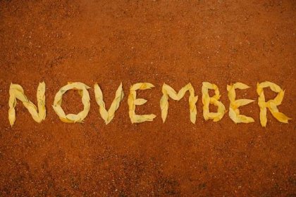 November Born Quotes Wishess