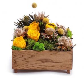 Preparované kvety - In eterno drevený box žlté ruže mach | KVETY.sk