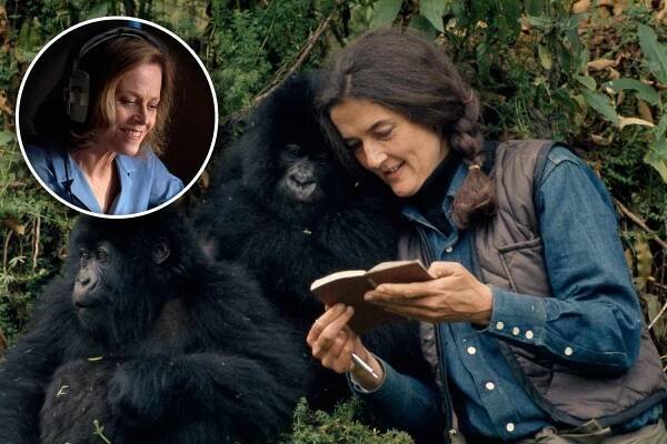 Sigourney Weaver on playing gorilla researcher Dian Fossey — twice