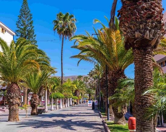 (1.) Foto von Playa de las Américas - Süd Teneriffa (#13)