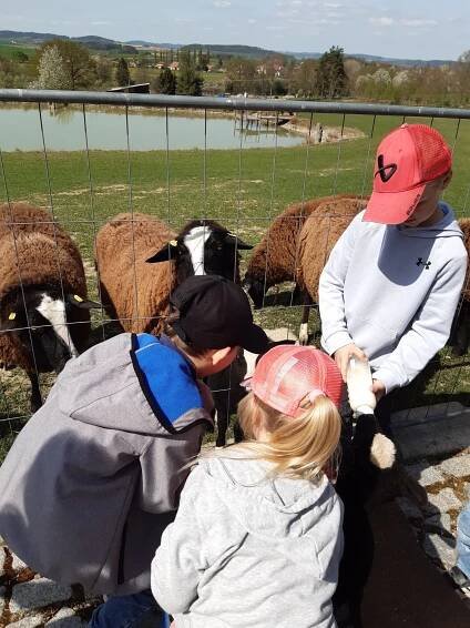 Družina na ovčí farmě | Základní škola a Mateřská škola Cehnice