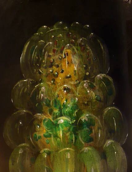 Green Gelatin Study