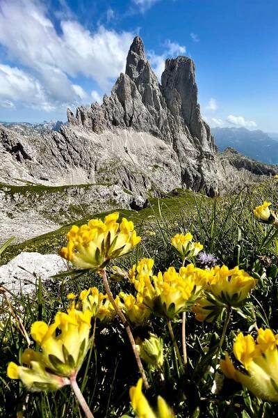 Objevování Pale di San Martino | 