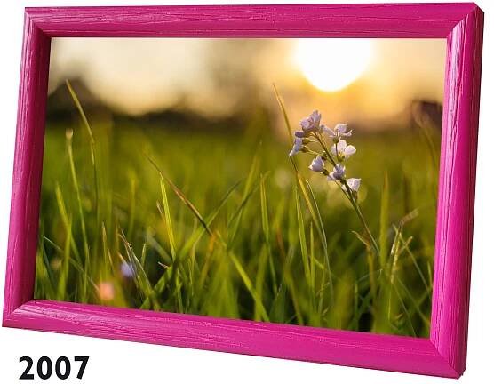 Rámeček 15x20 TULIP Svátek Matek babičky Svatba na fotografie Kód výrobce R001