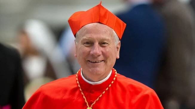 Cardinal Michael Fitzgerald. Pic: Pierpaolo Scavuzzo/AGF/Shutterstock