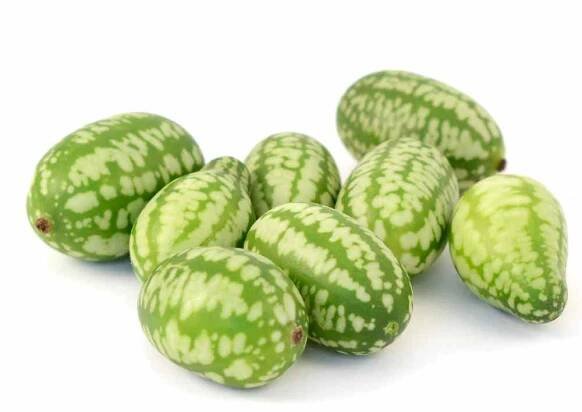 skupina cukalonů nebo mexických kyselých okurek - melothria scabra - stock snímky, obrázky a fotky