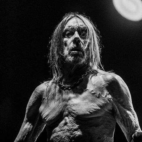 Iggy Pop Announces New Album Every Loser