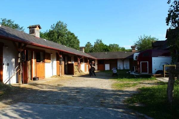 ČUS
