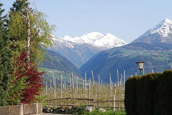 Valle Isarco/Eisacktal: holiday photos