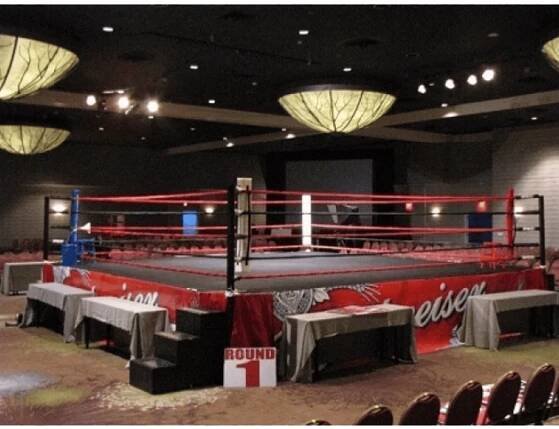 Affordable Boxing and MMA Ring Rentals for Events || Pro Boxing Store