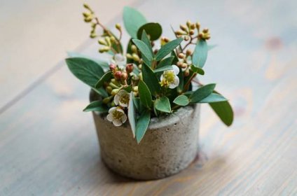 Vypichovaný betonový květináček mini :: Aranzerie