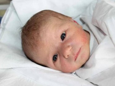 Novorozená miminka Břeclavska 14. týdne 2015