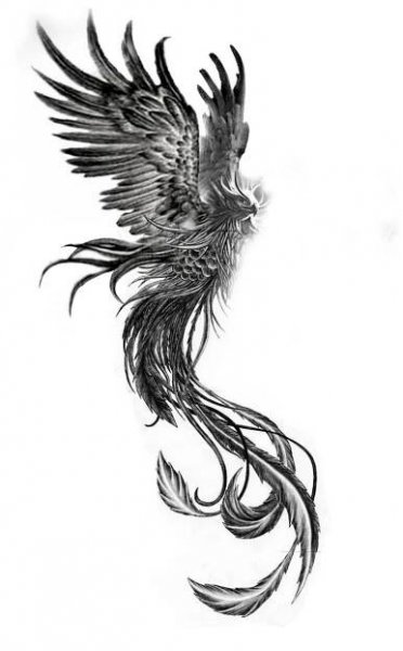 a black and white drawing of a bird flying