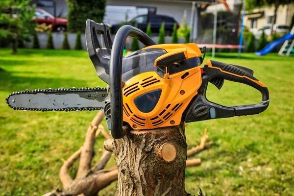 Chainsaw resting on a tree stump in a backyard with cut branches lying on the grass nearby