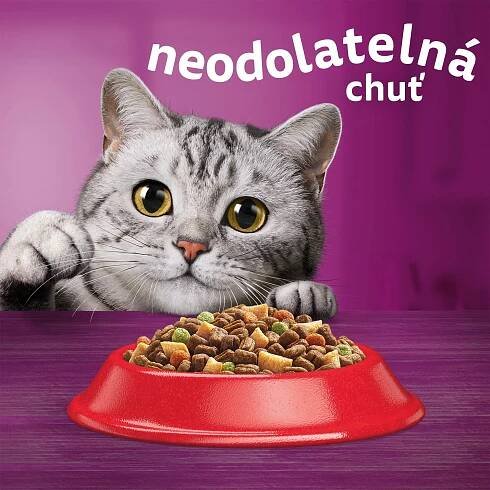 Whiskas Dry s hovězím masem a játry 14kg