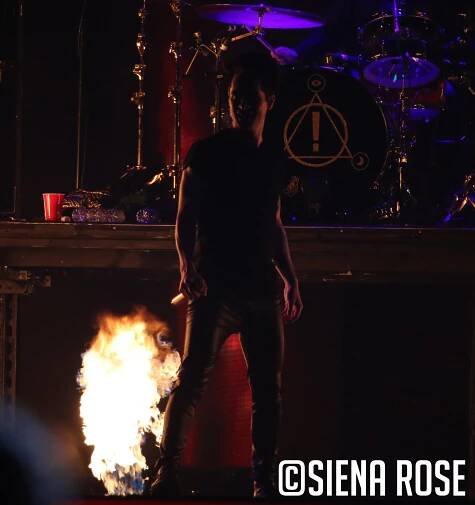 Panic! At The Disco – 1/16/2019 – Ohdearpennylane.com
