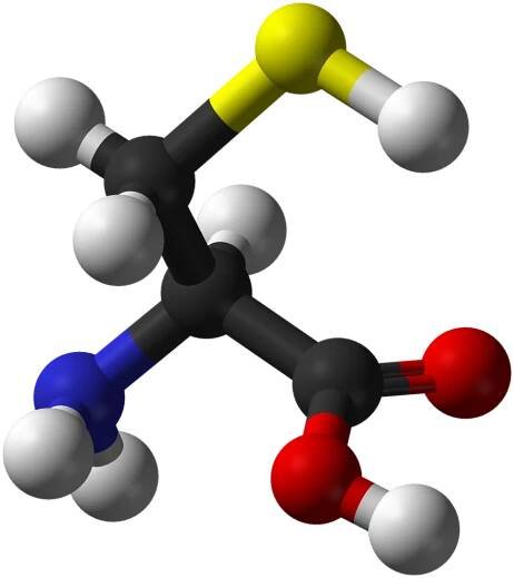 Súbor:L-cysteine-3D-balls.png – Wikipédia