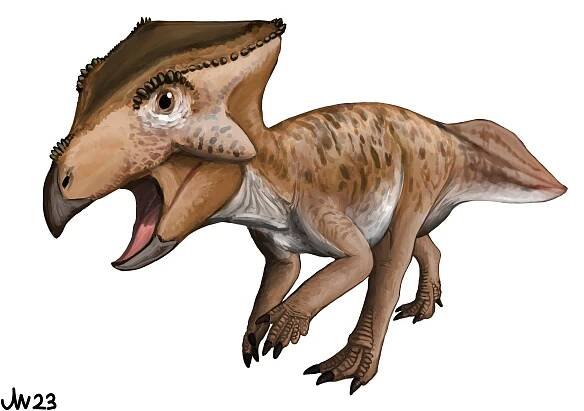Koreaceratops