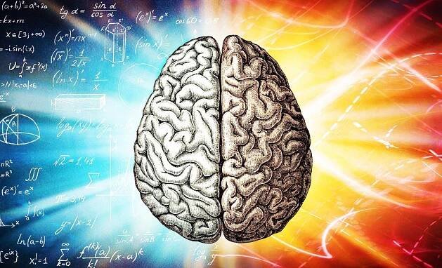 Secrets of learning: How our brains make and retrieve memories