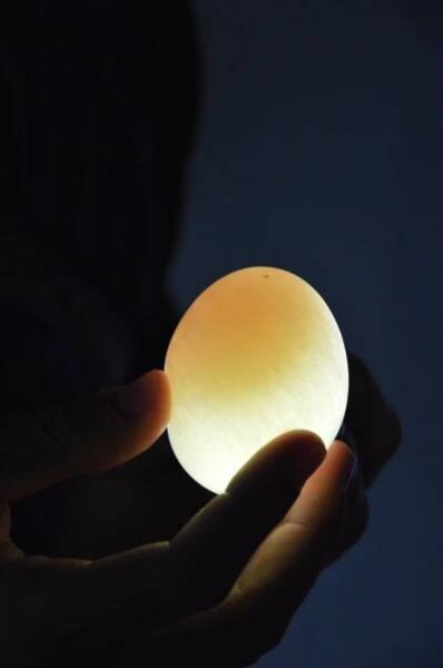 File:Egg in vinegar.jpg - Wikimedia Commons