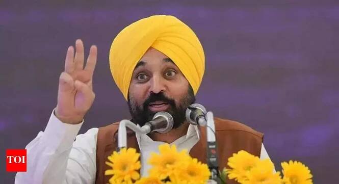 Bhagwant Mann sparks row with 'one nation, one husband' remark; BJP terms it 'vulgar'